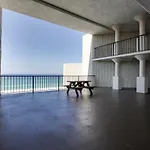 The Top Of The Gulf #723